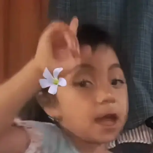 🌹 Rosita Niña TikTok Viral 📱