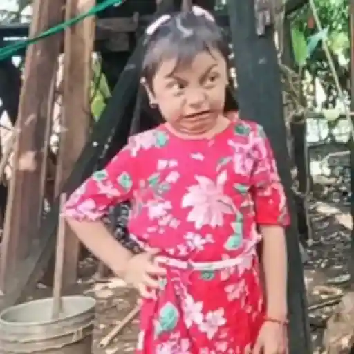 🌹 Rosita Niña TikTok Viral 📱