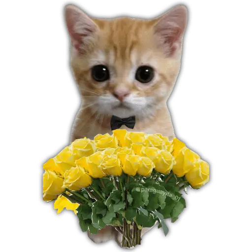 🌻💐FLORES AMARILLAS 4💐🌻