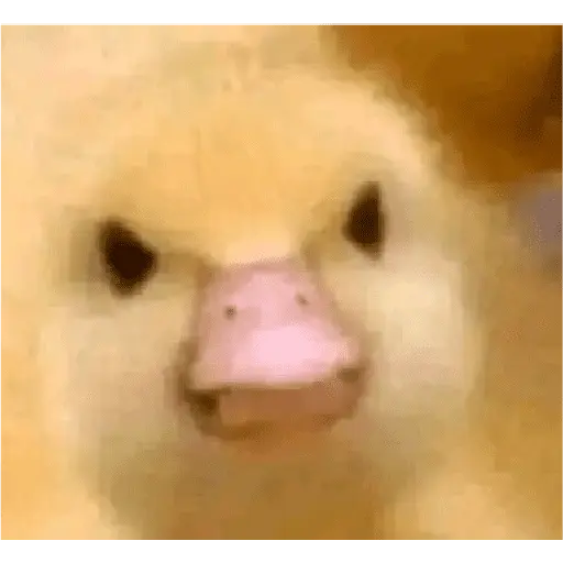 Memes Chistosos Random 2