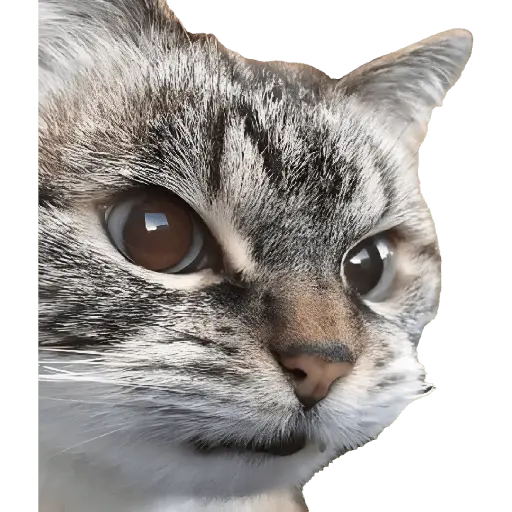 Memes Chistosos Random 2