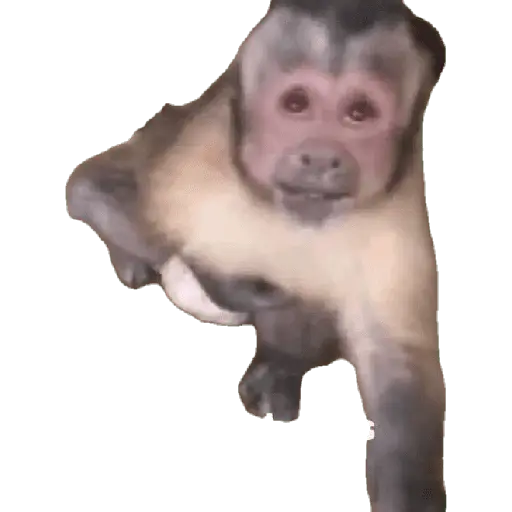 Memes Chistosos Random 2