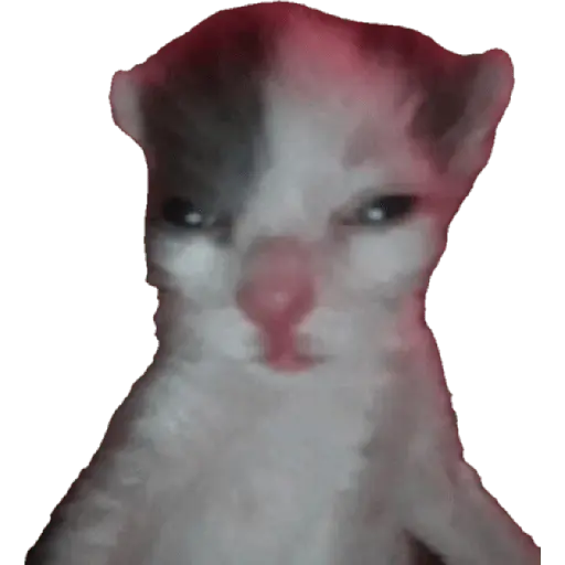 Memes Chistosos Random 2