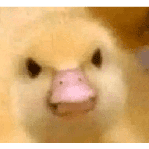 Memes Chistosos Random 2 preview