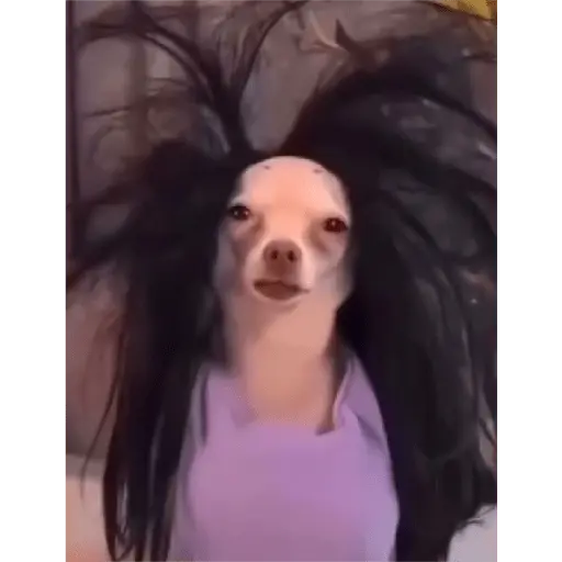Memes Chistosos Random 2