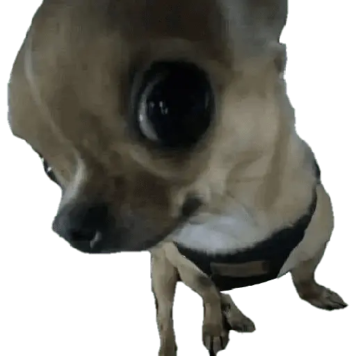 Memes Chistosos Random 2