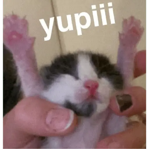 Memes Chistosos Random 2