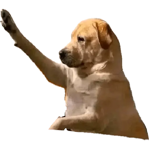 Memes Chistosos Random 2