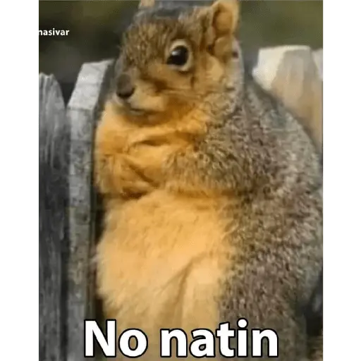 Memes Chistosos Random 2