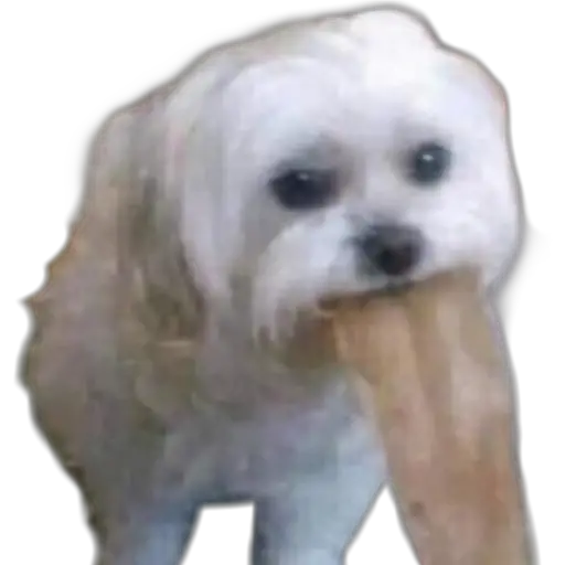 ZonaMomos® 