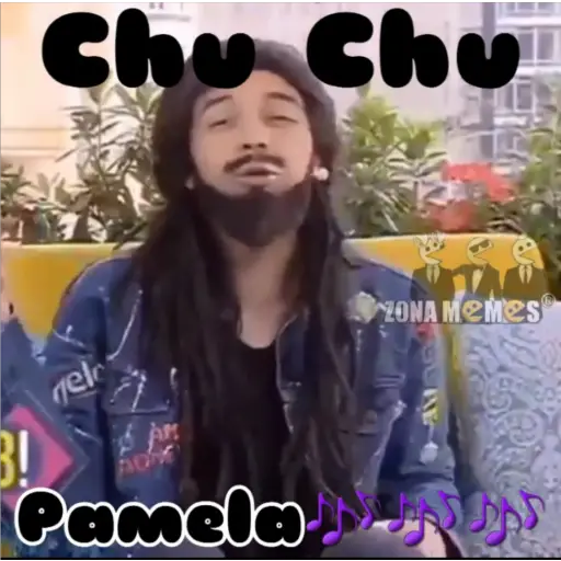 ZonaMomos® 