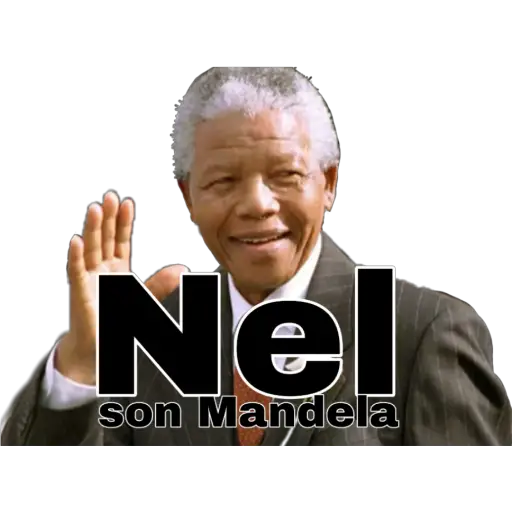 ZonaMomos® 