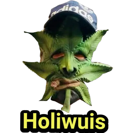 ZonaMomos® 