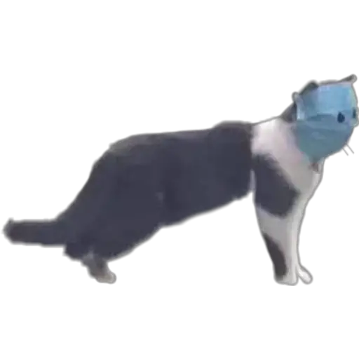 ZonaMomos® 