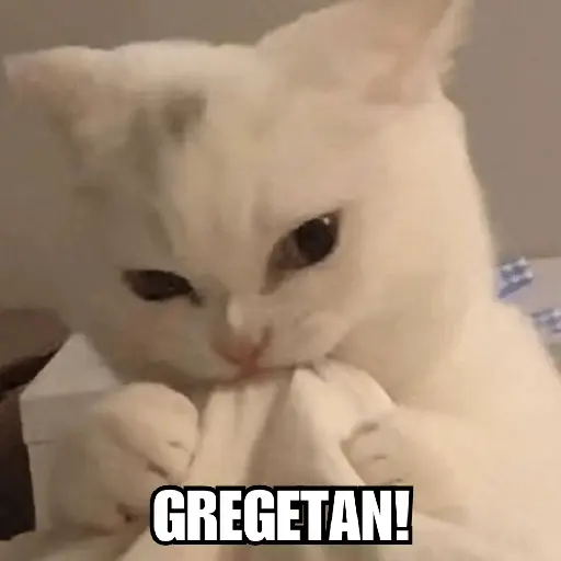 Meme Kucing Ngambek 😾