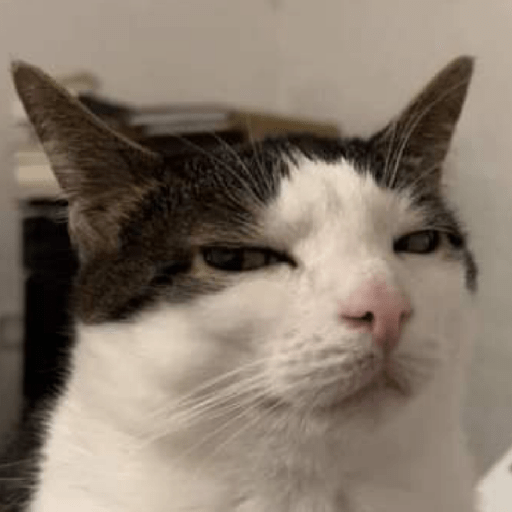 Meme Kucing Ngambek 😾 preview