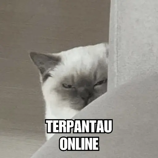 Meme Kucing Ngambek 😾
