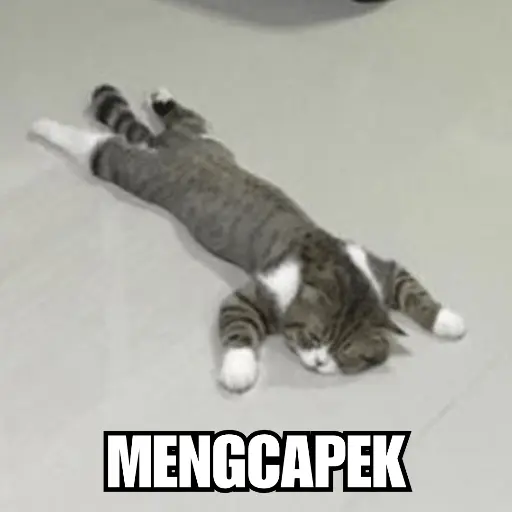 Meme Kucing Ngambek 😾