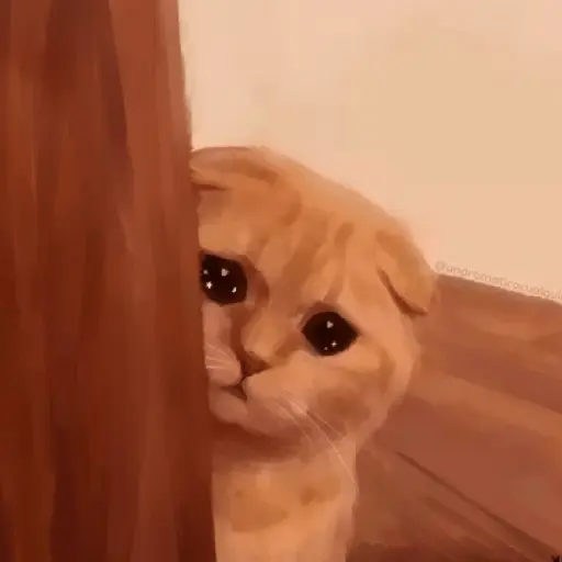 Meme Kucing Ngambek 😾