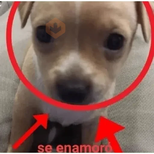animales 2 sticker 11