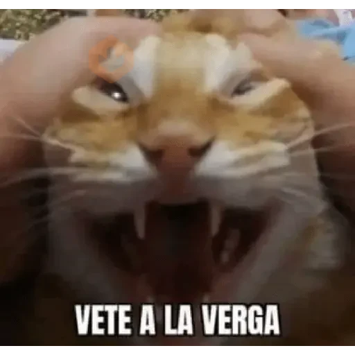 animales 2 sticker 21