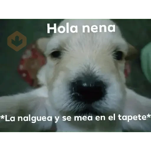animales 2 sticker 25