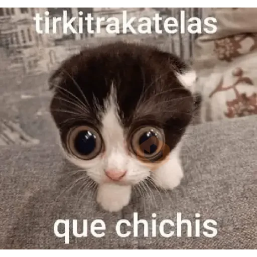 animales 2 sticker 15