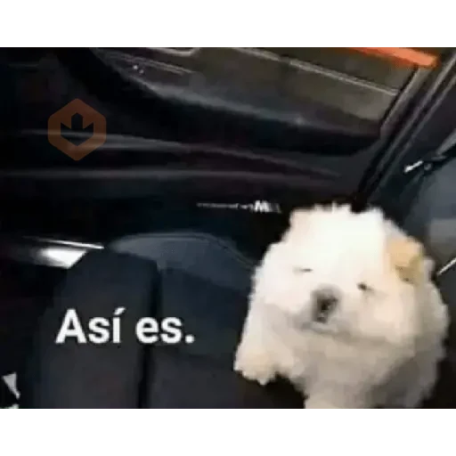 animales 2 sticker 12