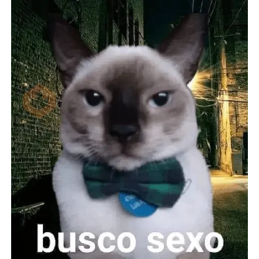 animales 2 sticker 20