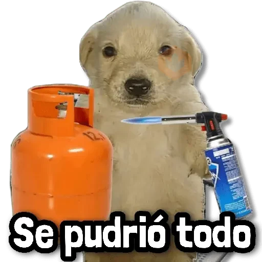 Combo de Stickers #➋ 🧉 sticker 13