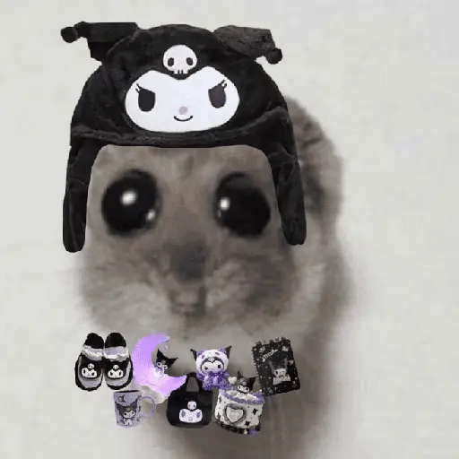 Ratita ✨