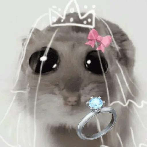 Ratita ✨