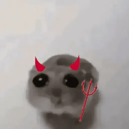 Ratita ✨