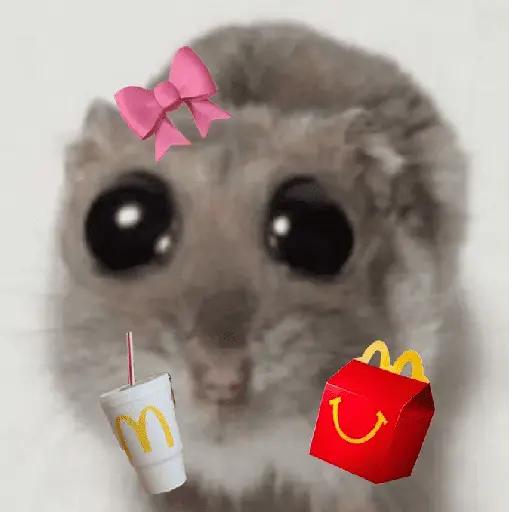 Ratita ✨