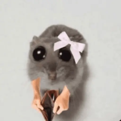 Ratita ✨