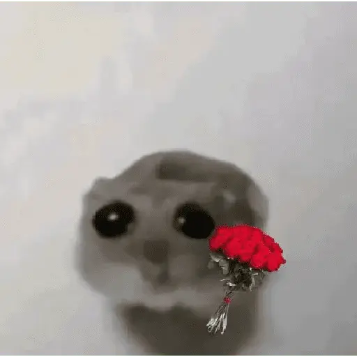 Ratita ✨