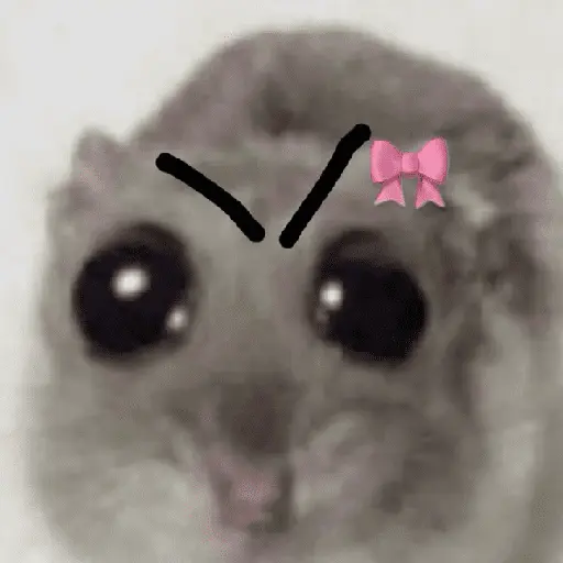Ratita ✨
