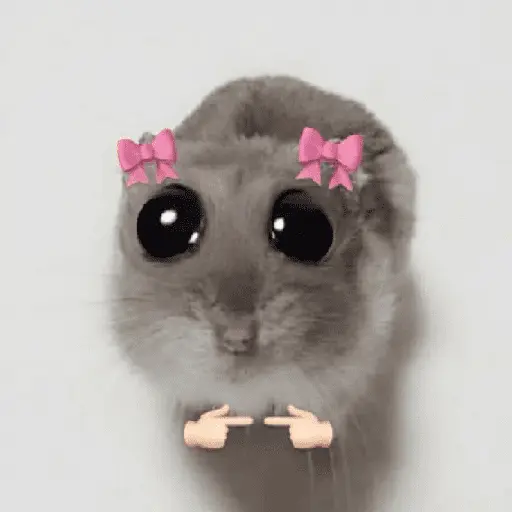 Ratita ✨
