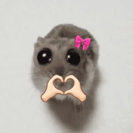 Ratita ✨