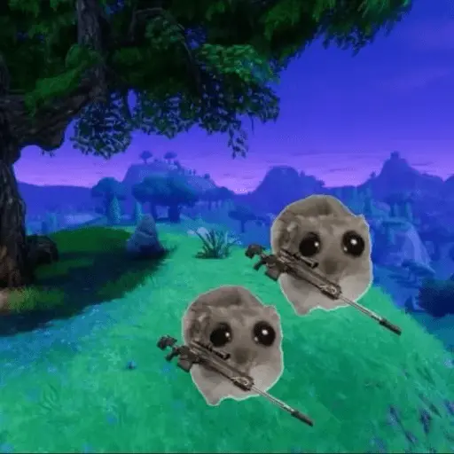 Ratita ✨