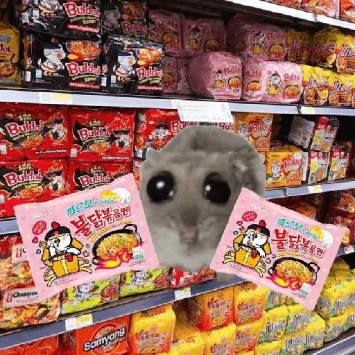 Ratita ✨