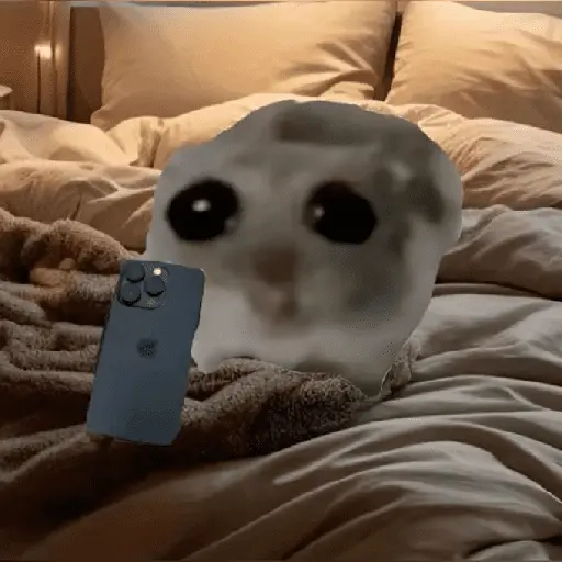 Ratita ✨