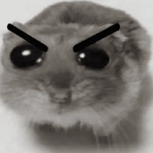 Ratita ✨