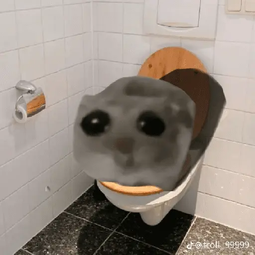 Ratita ✨