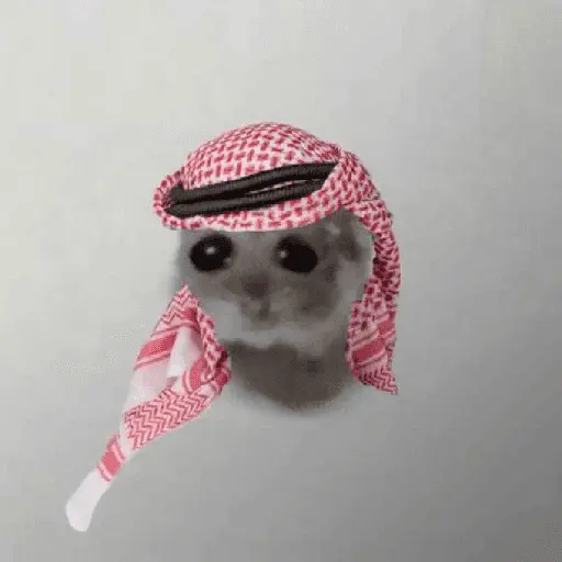 Ratita ✨