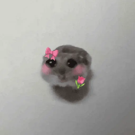 Ratita ✨