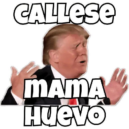 🔥Trump Pal Whatsapp🔥
