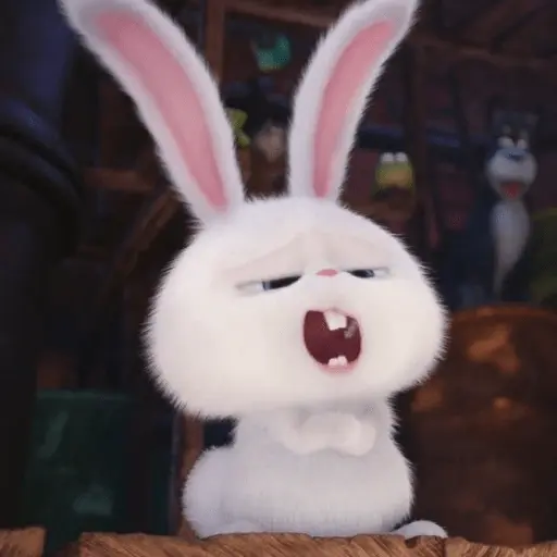 Snowball random 🐰