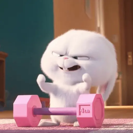 Snowball random 🐰