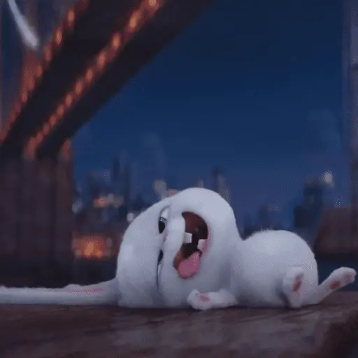 Snowball random 🐰